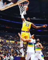  鹈鹕锡安暴力隔扣，社交媒体热搜登顶  